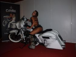 _ckfinder_userfiles_images_novice_erotika2011utrinki_PC110558.JPG